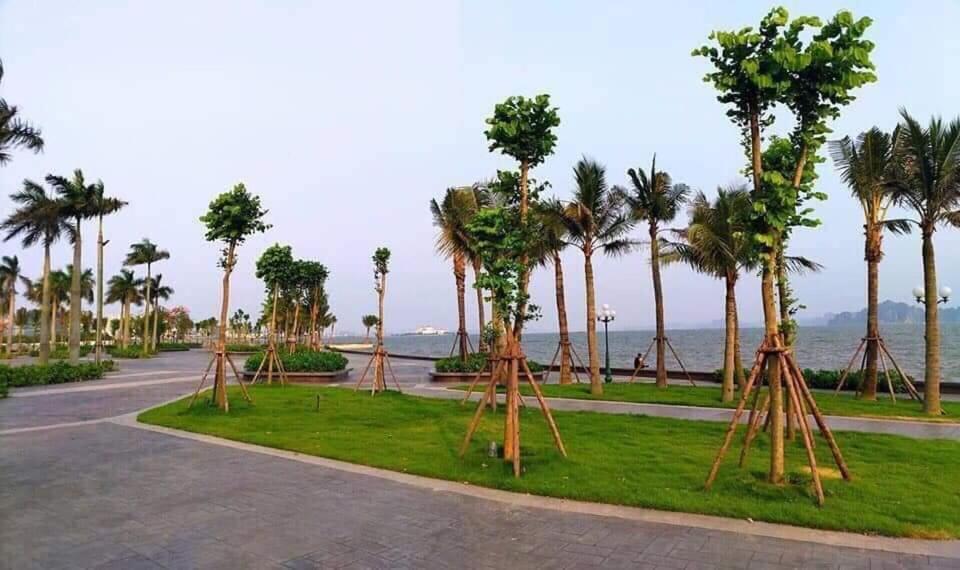 Sonny Homestay 2 -Can Lien Ke 5Pn -Khu Greenbayvillage - Duong Hoang Quoc Viet -Trung Tam Kdl Bai Chay Ha Long Eksteriør bilde